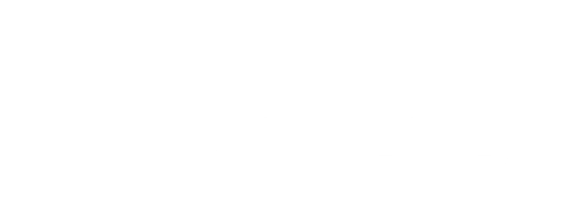 Nuvolt White logo