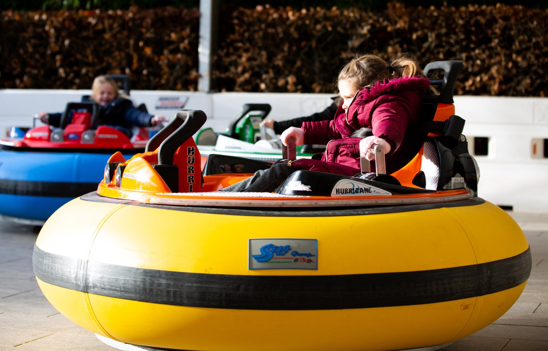 Ice Bumper Cars rider