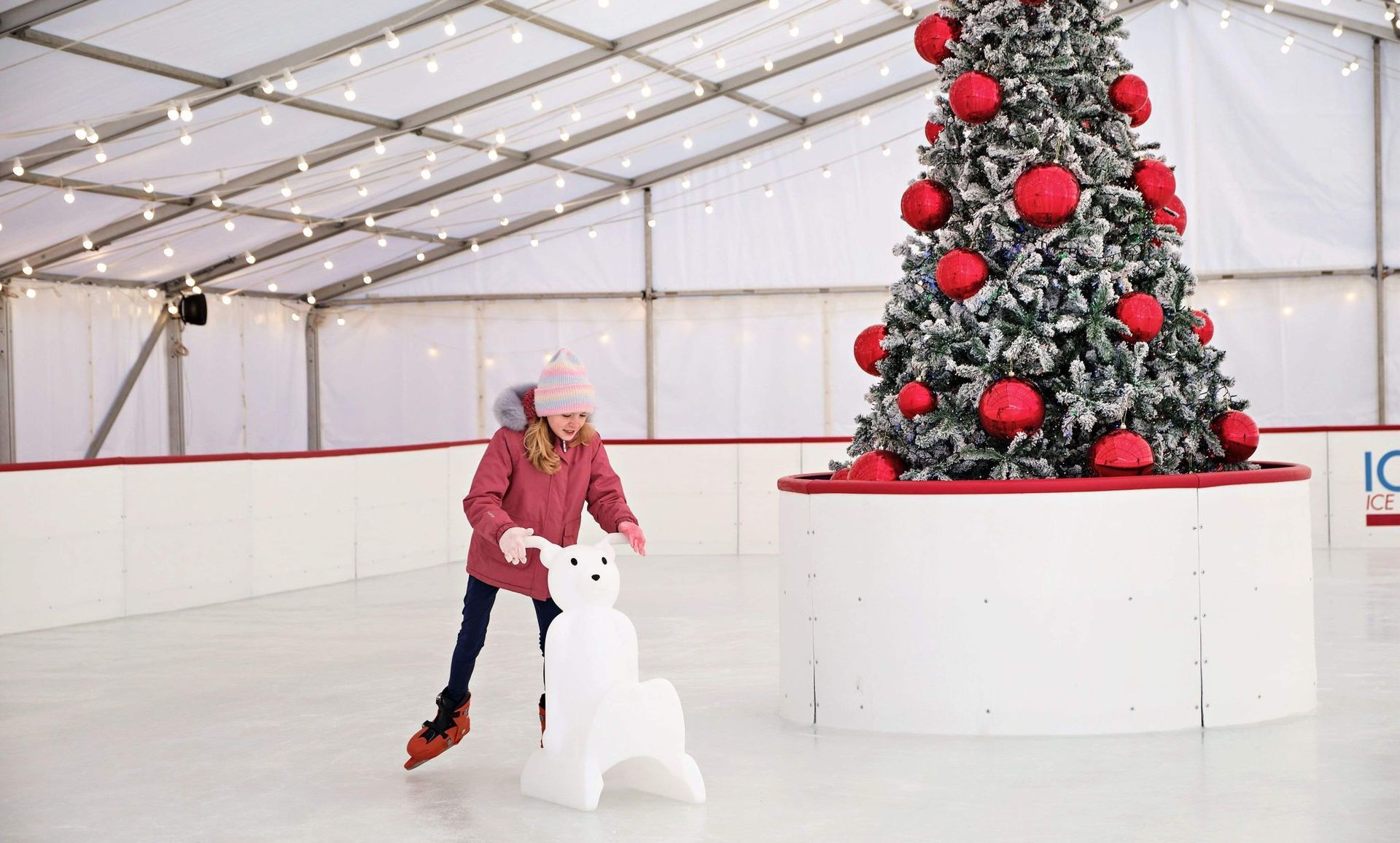 Girl ice skating in a winter coat pushing a white polar bear skate aid.   Christmas Tree with big bright red baubles.