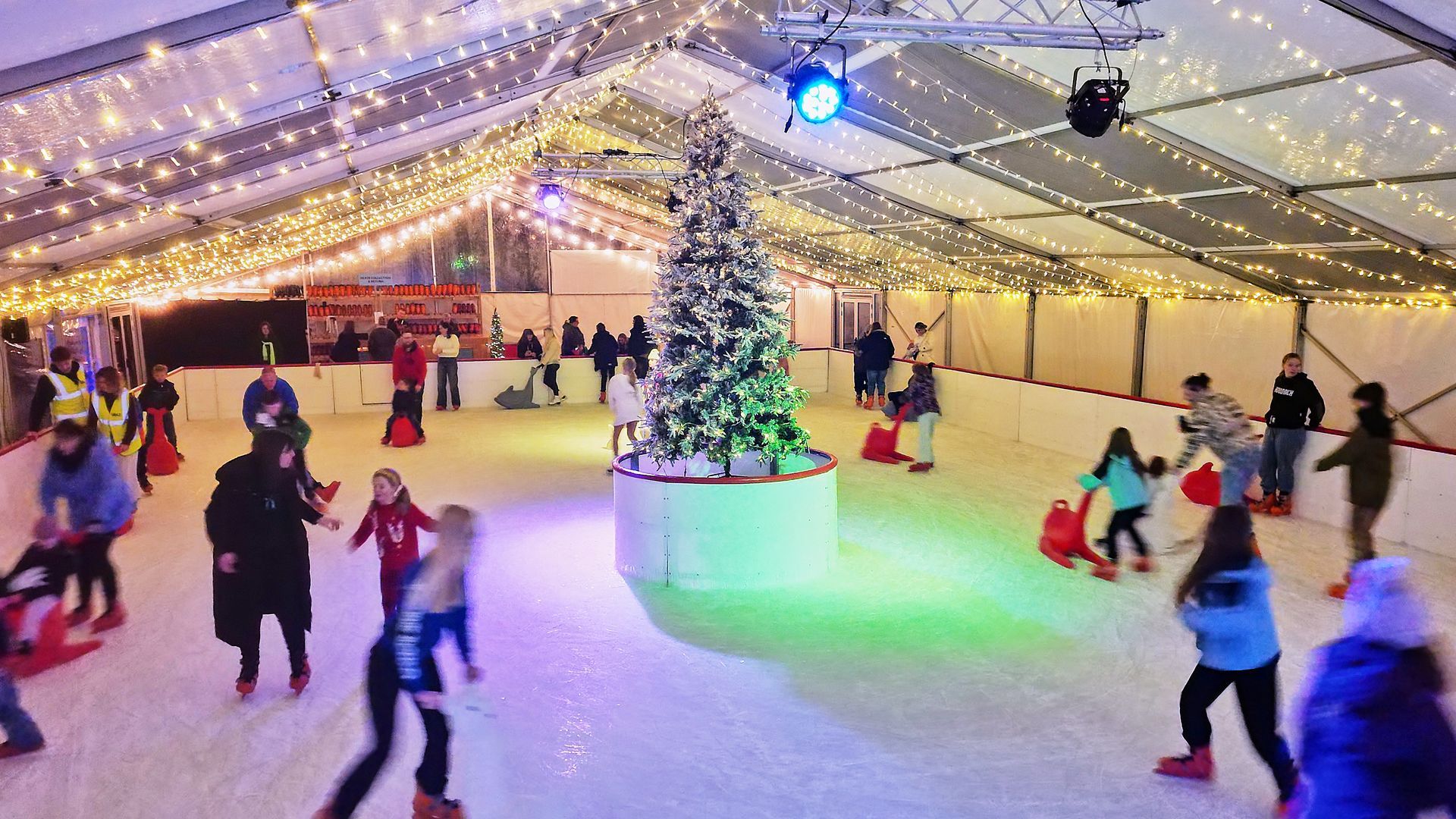 Kids playing in our Snow Play Park. Snow on the ground surrounded by trees