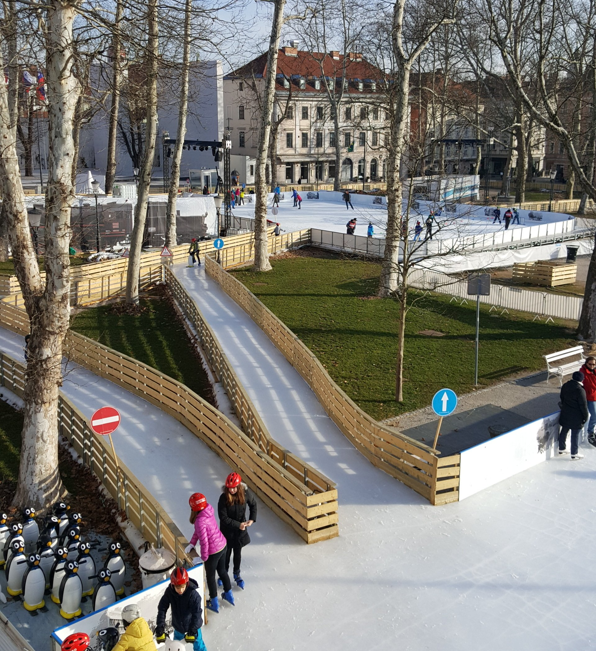 Ice path installed through a park with trees leading to an ice rink