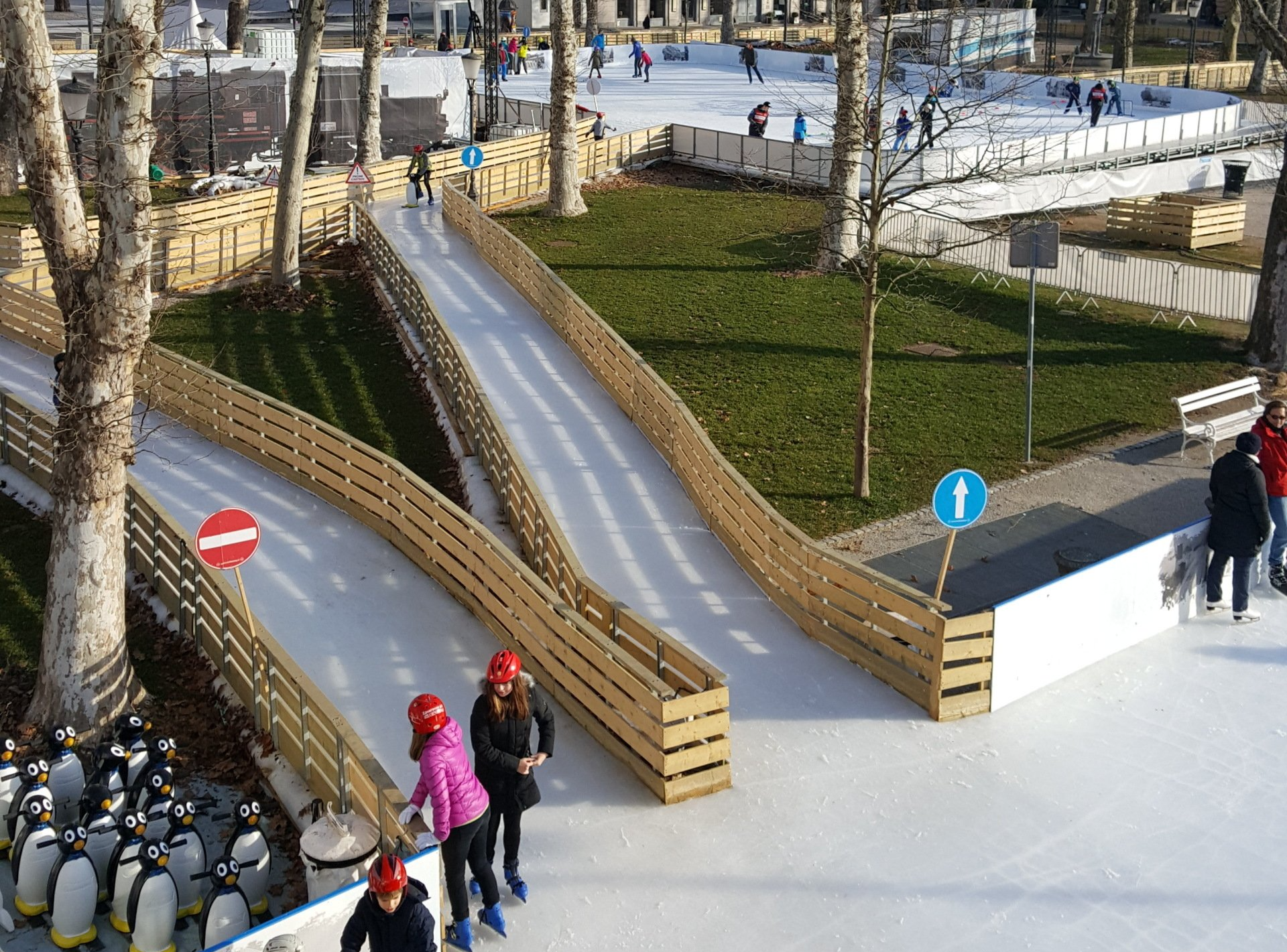 Ice Skating Path through a grassy wooded area