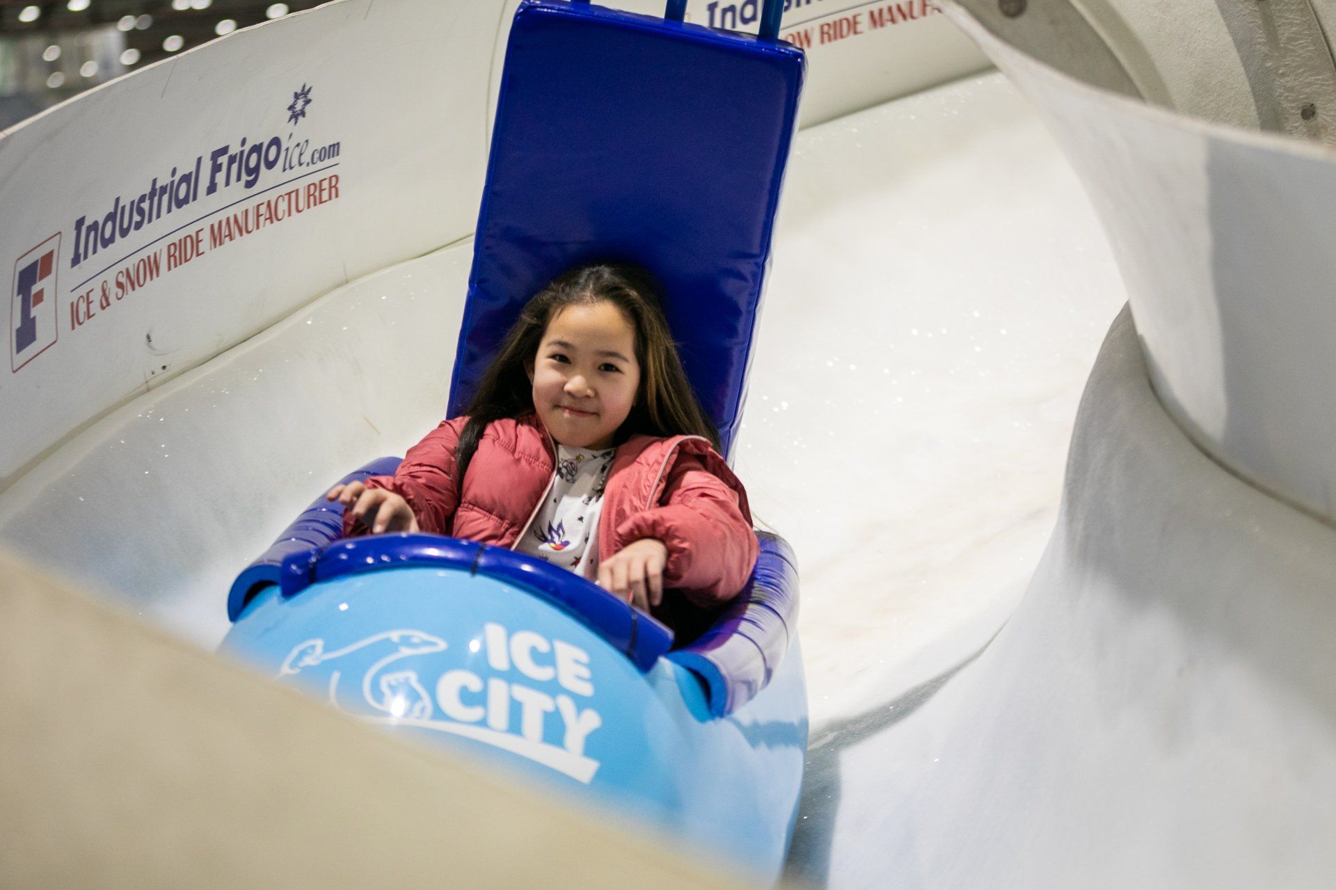 Bob sled with rider racing down