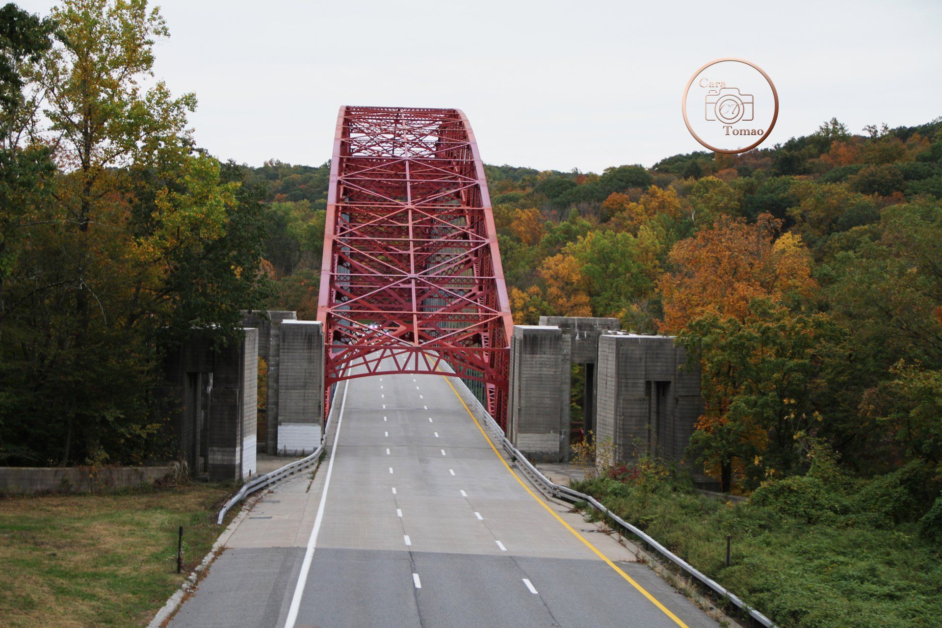 A red bridge with trees.