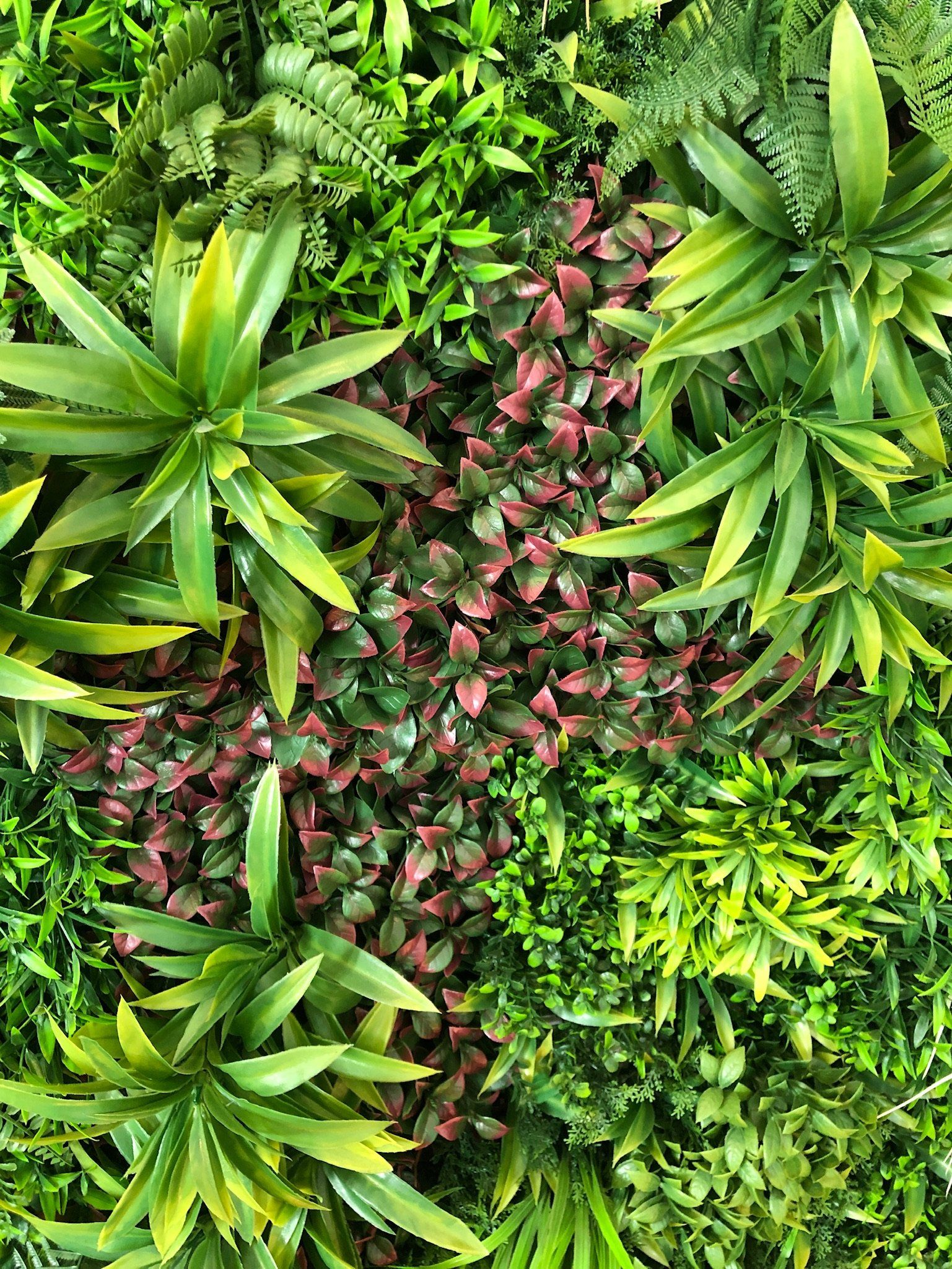 Césped artificial Baleares, Venta de césped artificial en Mallorca, césped decorativo, césped para jardín, césped zona piscina, césped terraza