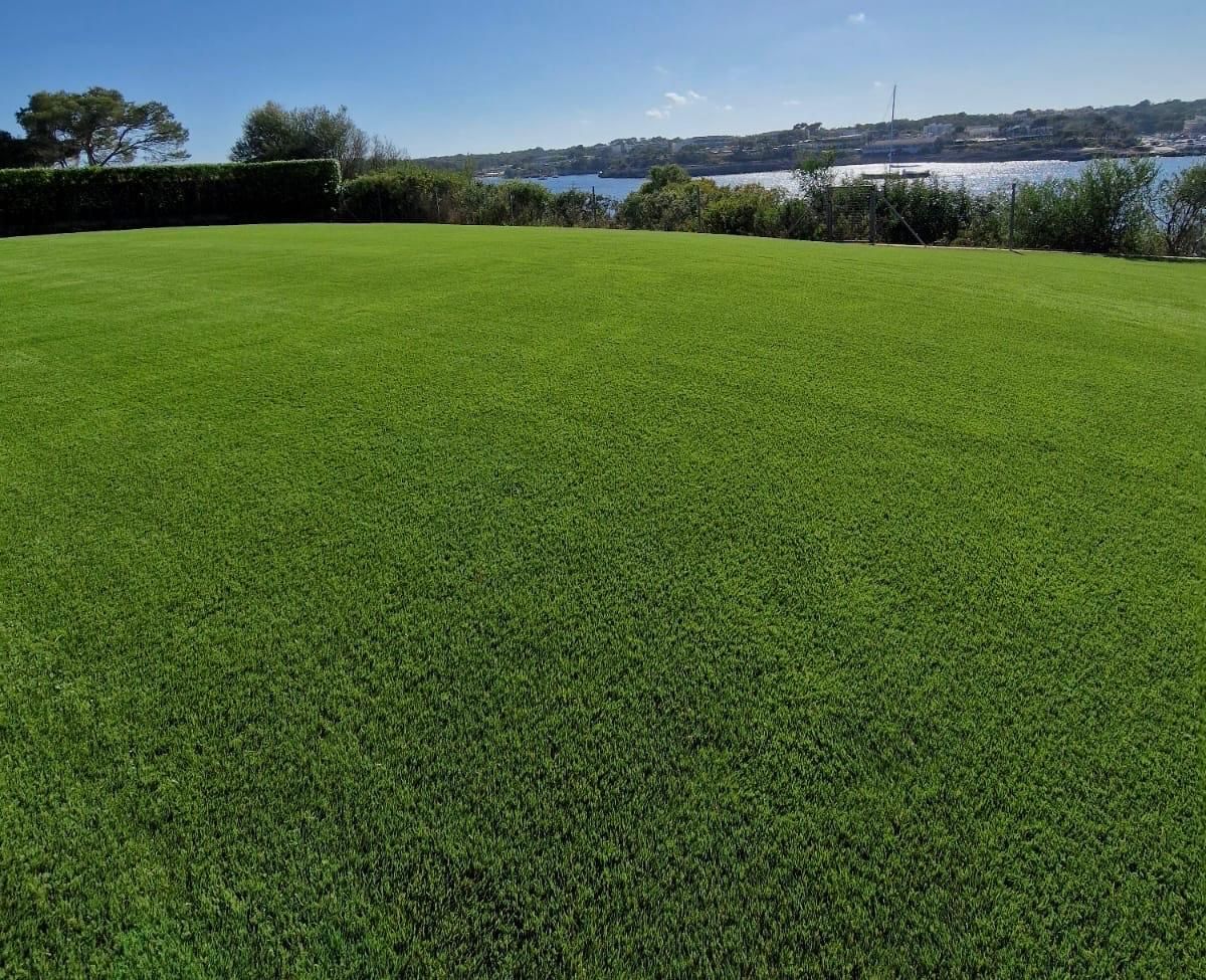 Cesped artificial mallorca