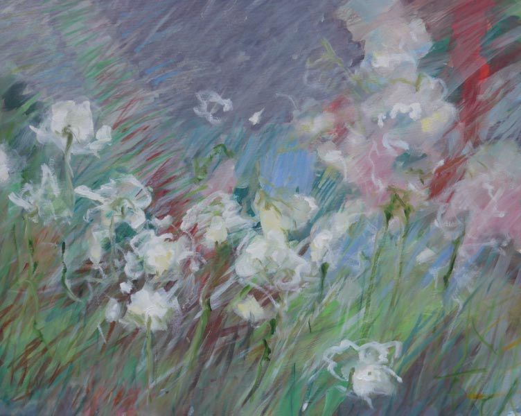 WOLLGRAS IM HIMMELMOOR