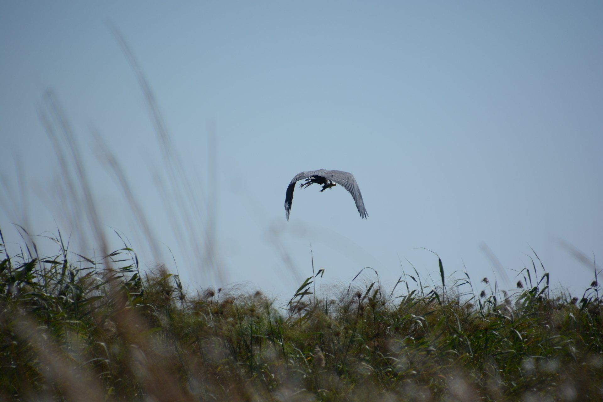 Mavunje Camp Kwando Floodplains