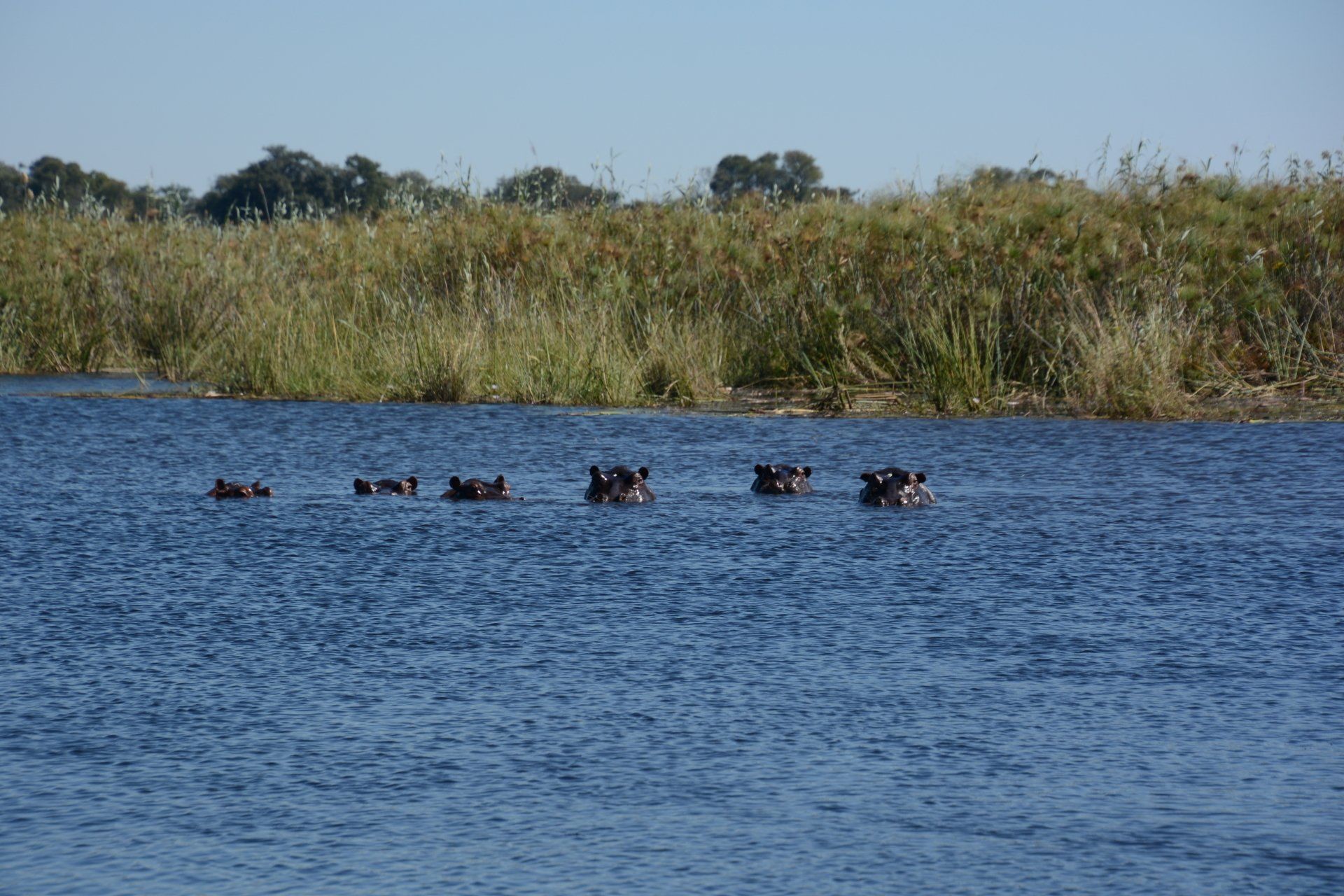 Mavunje Camp Kwando Floodplains
