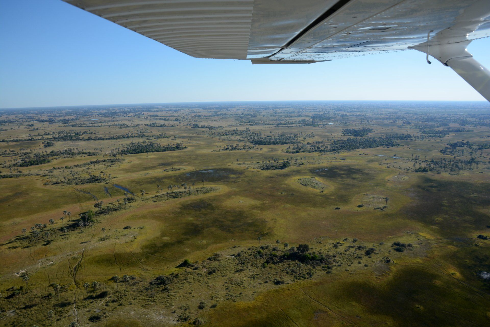 Okavango Delta Rundflug