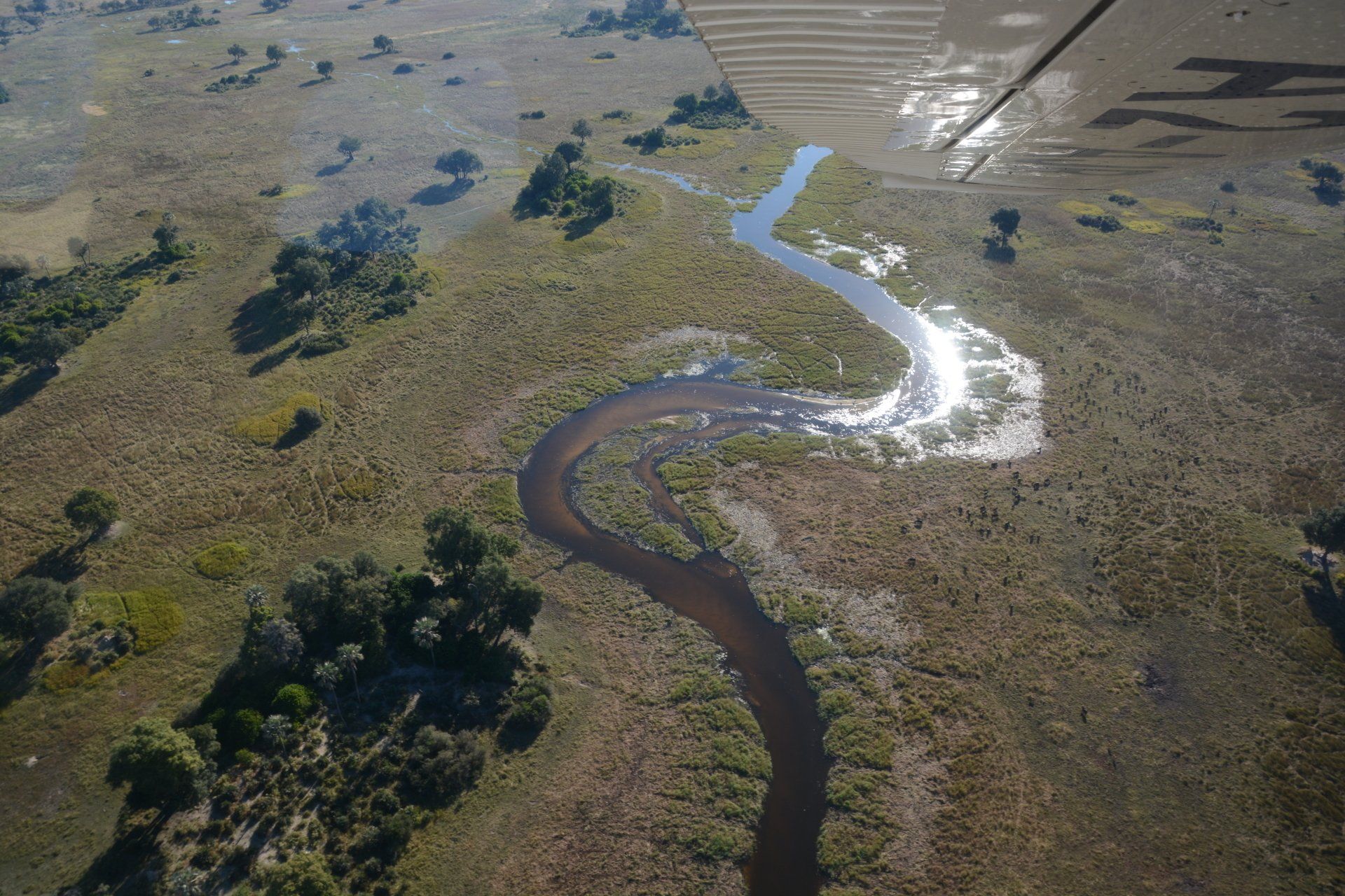 Okavango Delta Rundflug