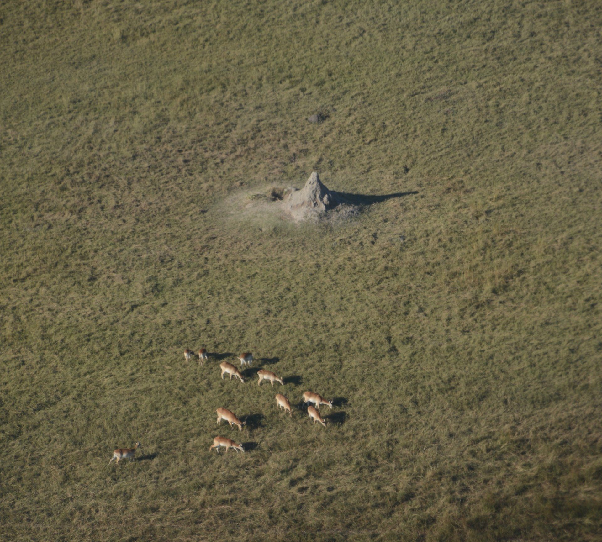 Okavango Delta Rundflug