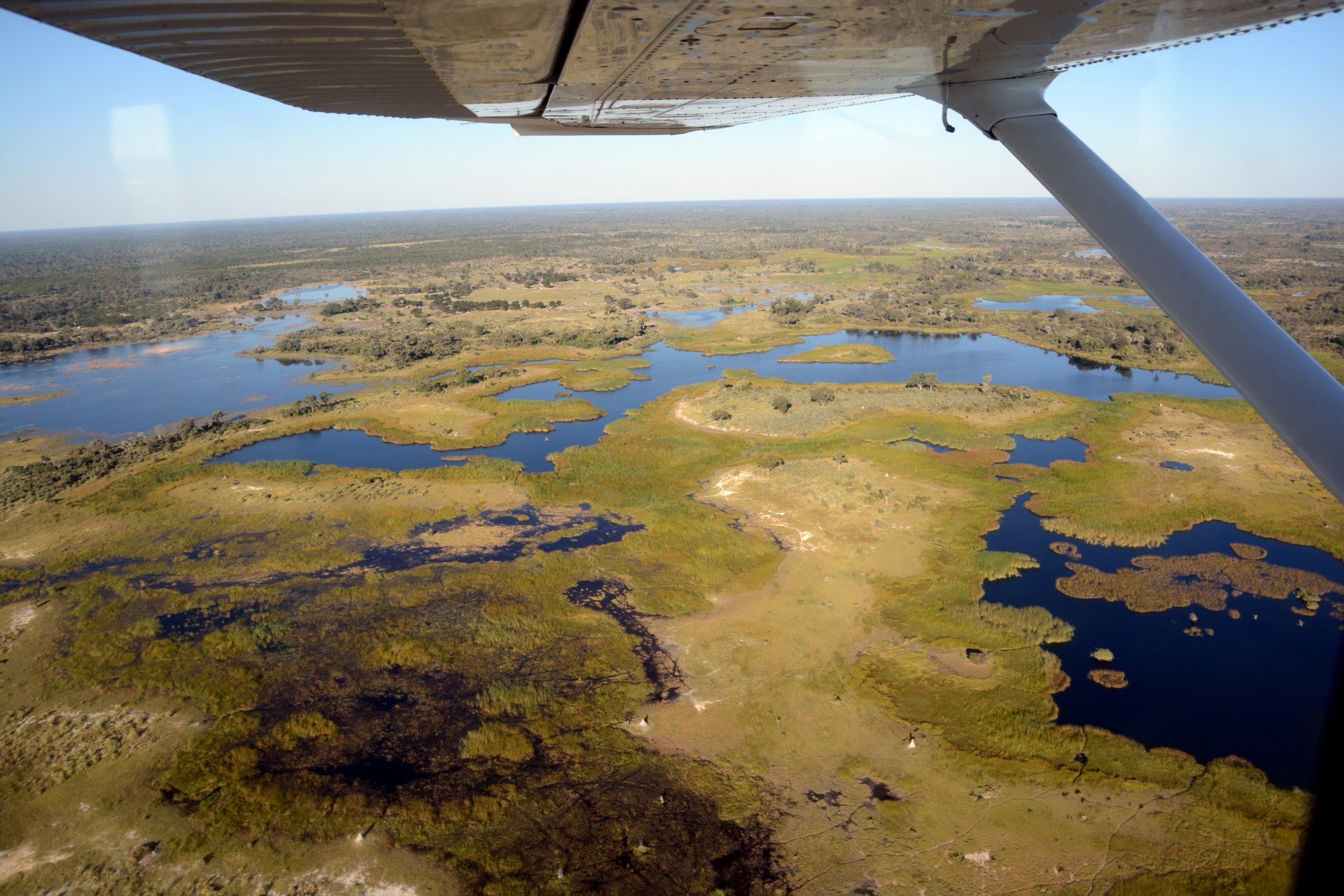 Okavango Delta Rundflug