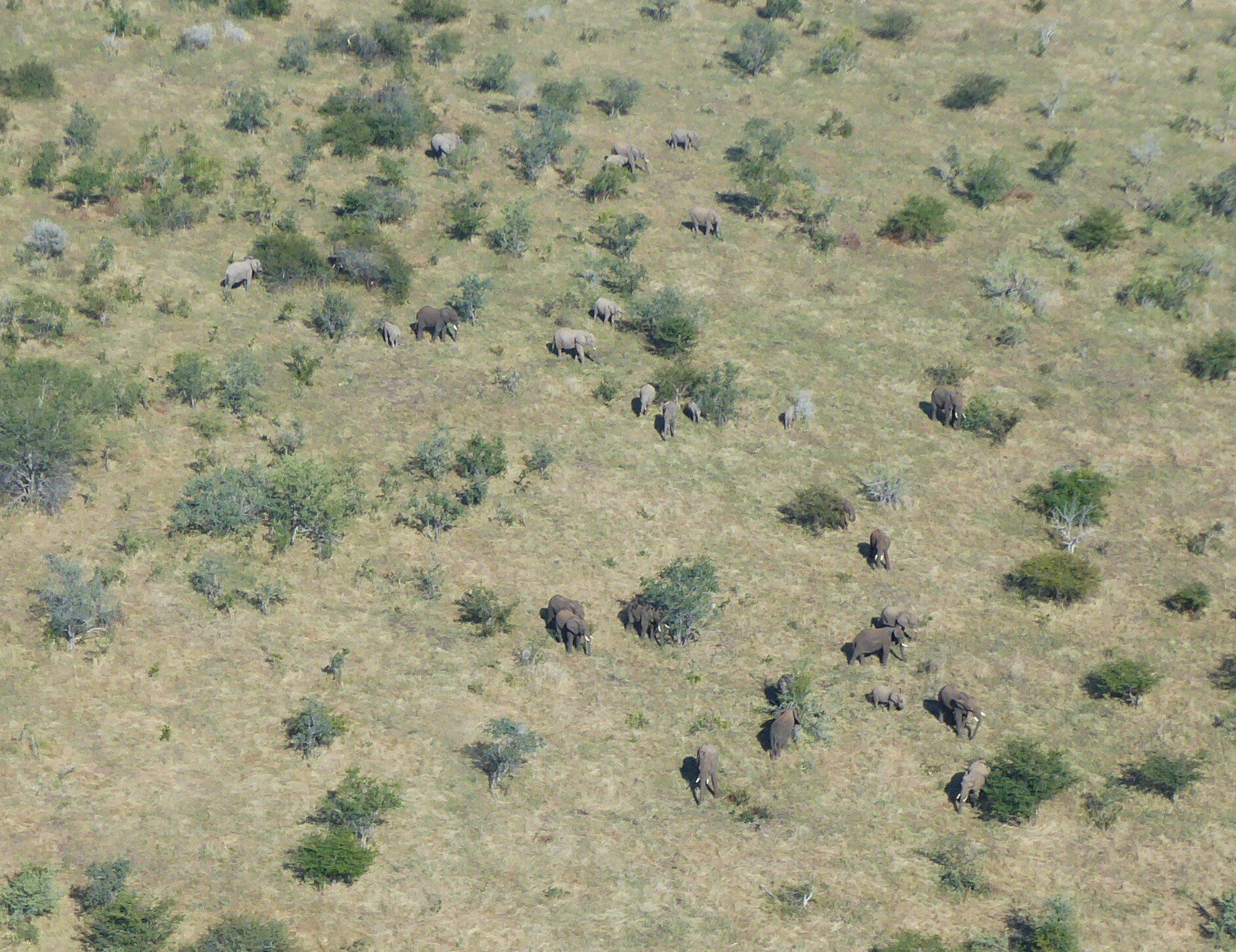 Heli Flug Victoria Falls