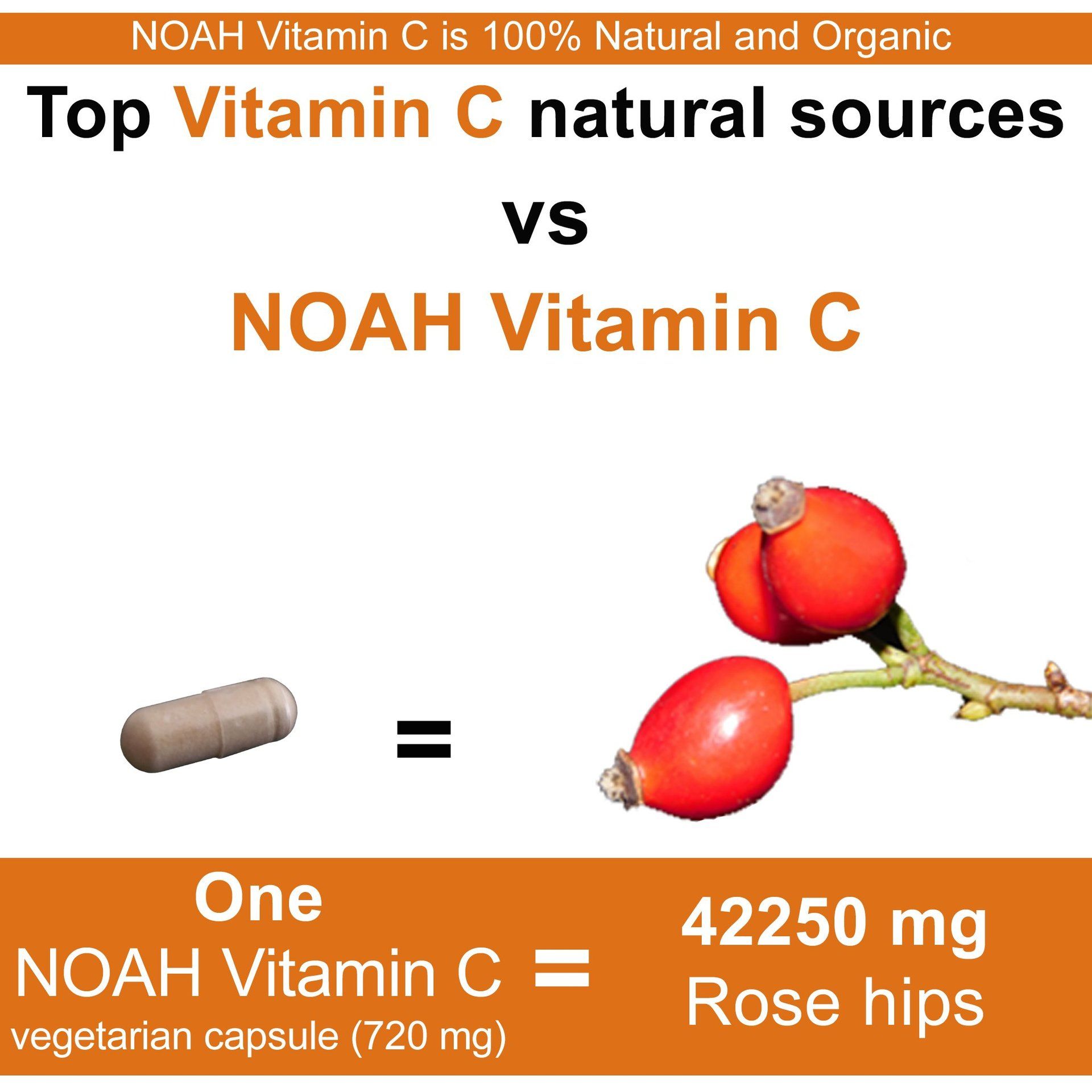 vs Rose hip best natural vitamin C supplement