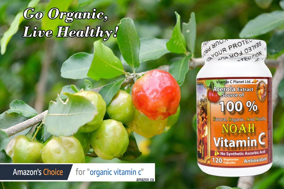natural and organic whole foods vitamin c