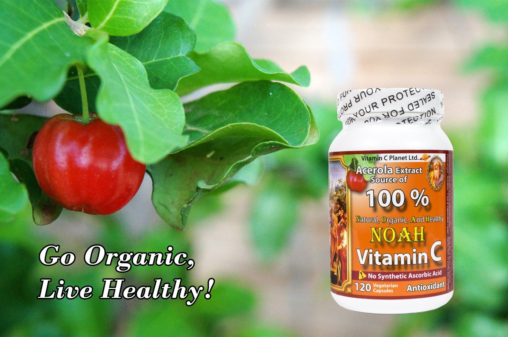 best natural organic vitamin c supplement vitamin c planet