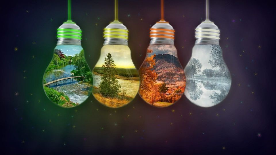 Natural and Organic Vitamin C