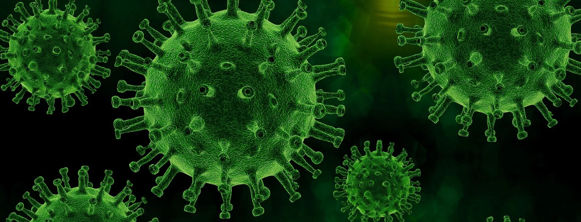 vitamin c and covid 19 vitamin c and covid 19