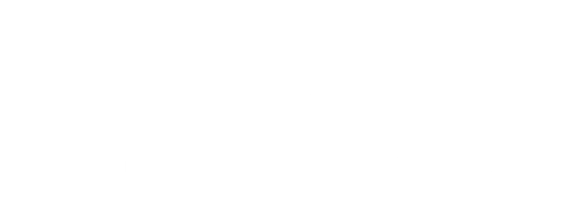 Realtor MLS logo