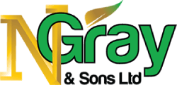 N-Gray-&-Sons-Ltd-Logo N-Gray-&-Sons-Ltd-Logo