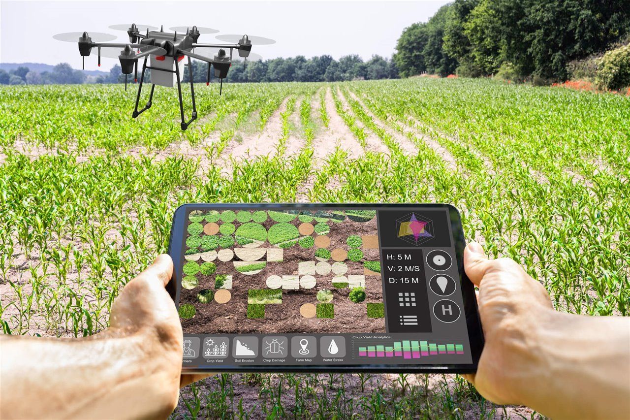 Agricultura inteligente del futuro con la ayuda del IoT