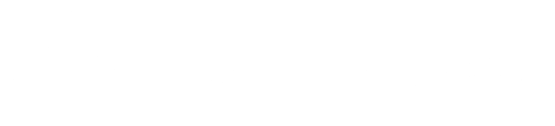 TeamViewer Partner Mexico