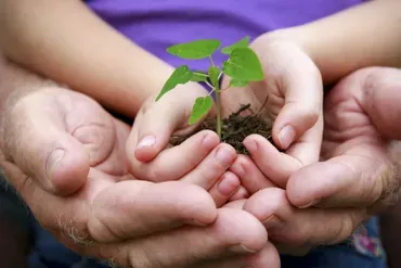 Develop Sustainably Develop Sustainably