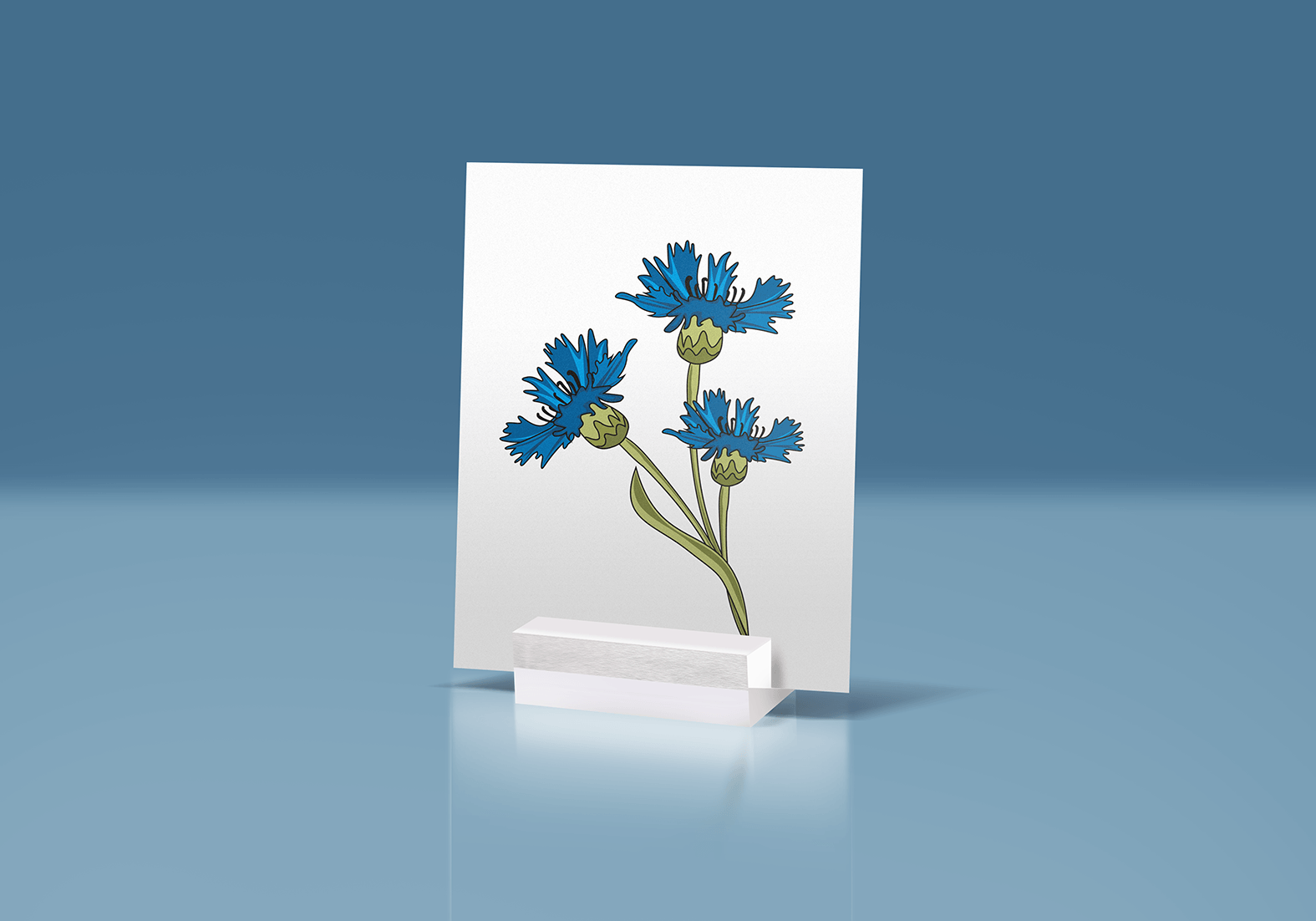 Endless Creative, Holm Klix, Leipzig, Vektorgrafik, Illustration, Kornblume