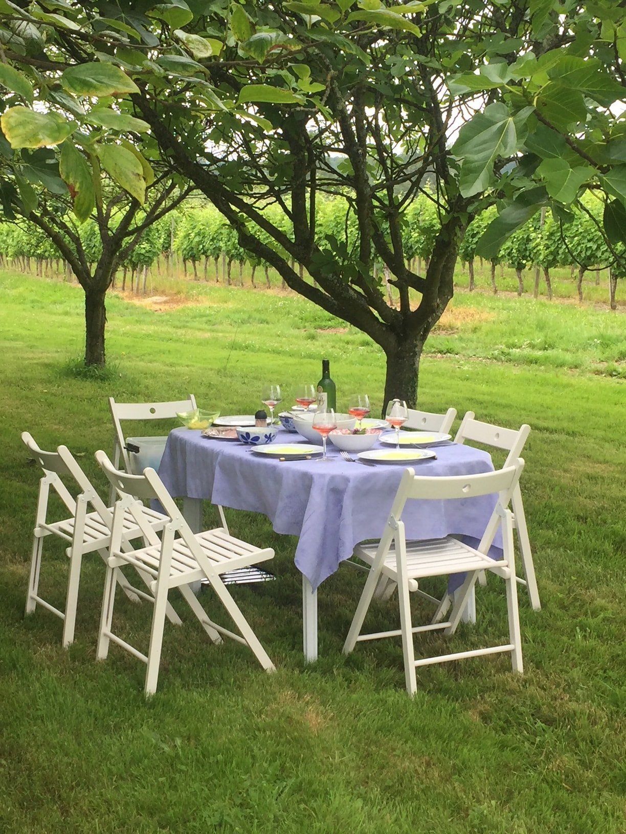 Lunchtime in the orchard by the vineyard An amazing experience: picnic in the vineyard