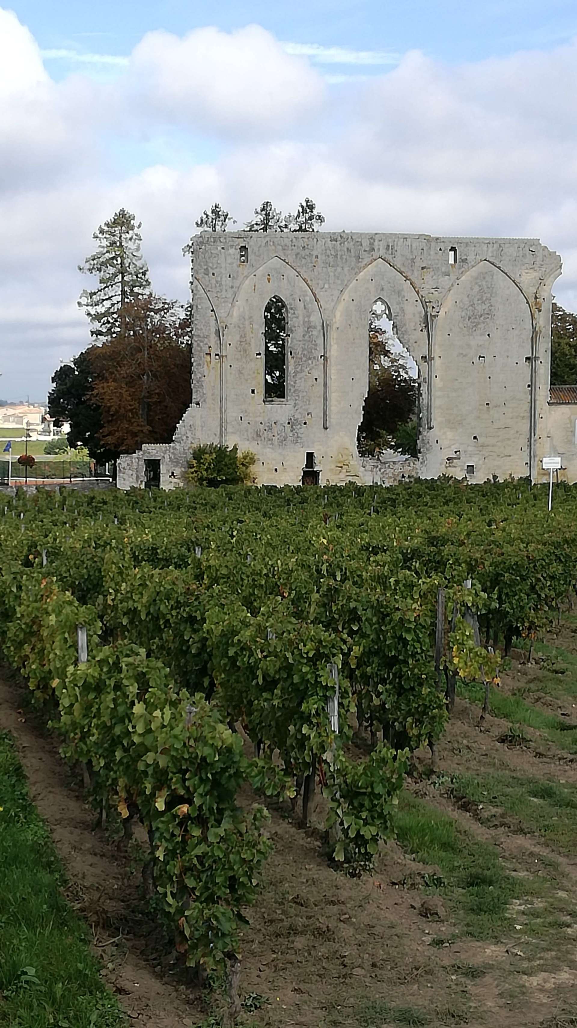 Saint-Emilioni walls, ont he way to Pomerol Saint-Emilion magnificent walls by the vineyard