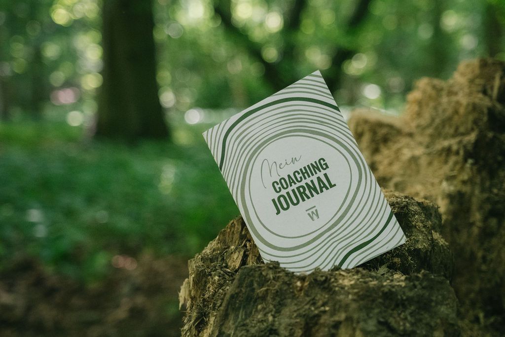 Waldfulness-Journal als Begleiter für achtsames Schreiben in der Natur.