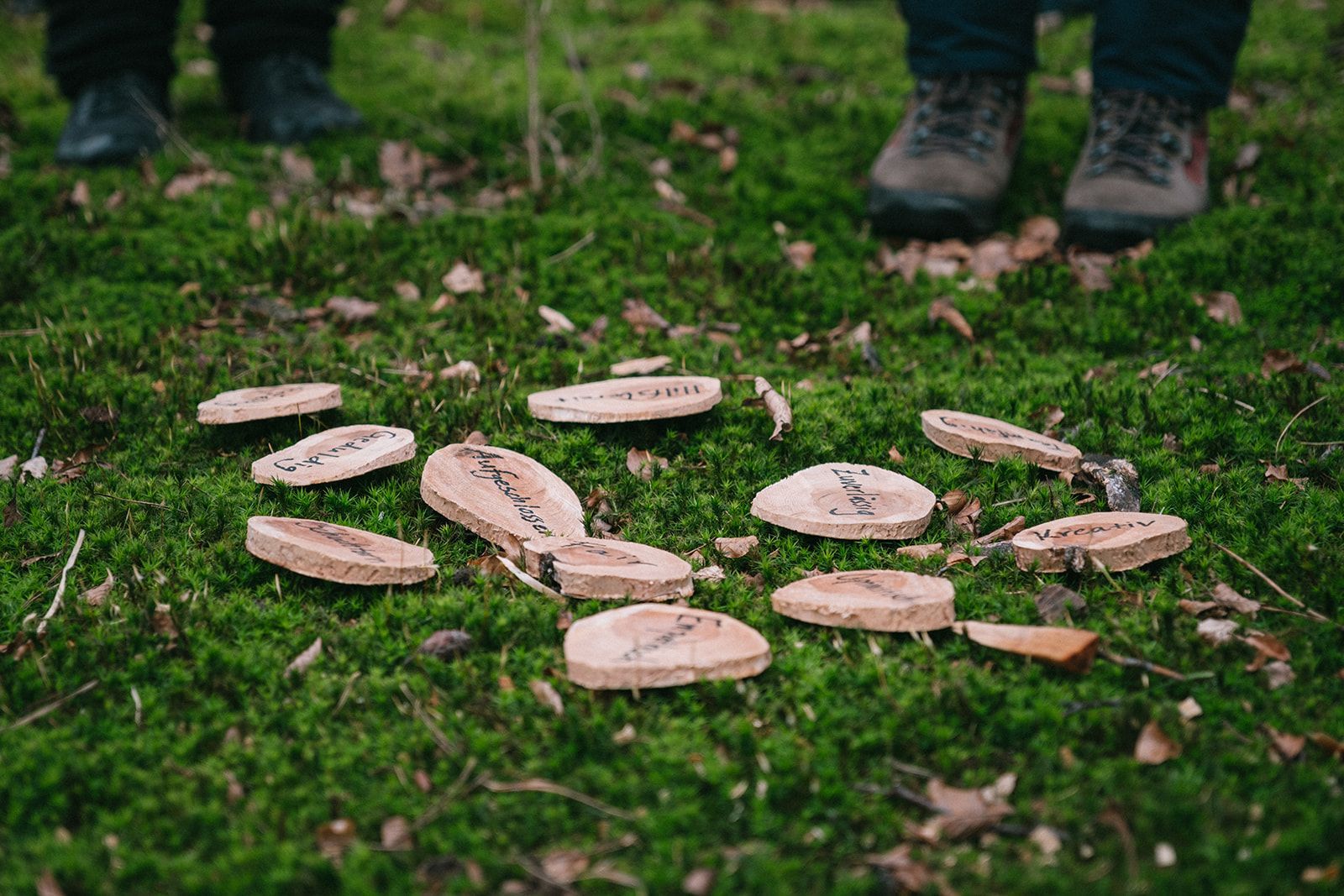 Green Care in der Praxis – für Unternehmen, Teams und Führungskräfte