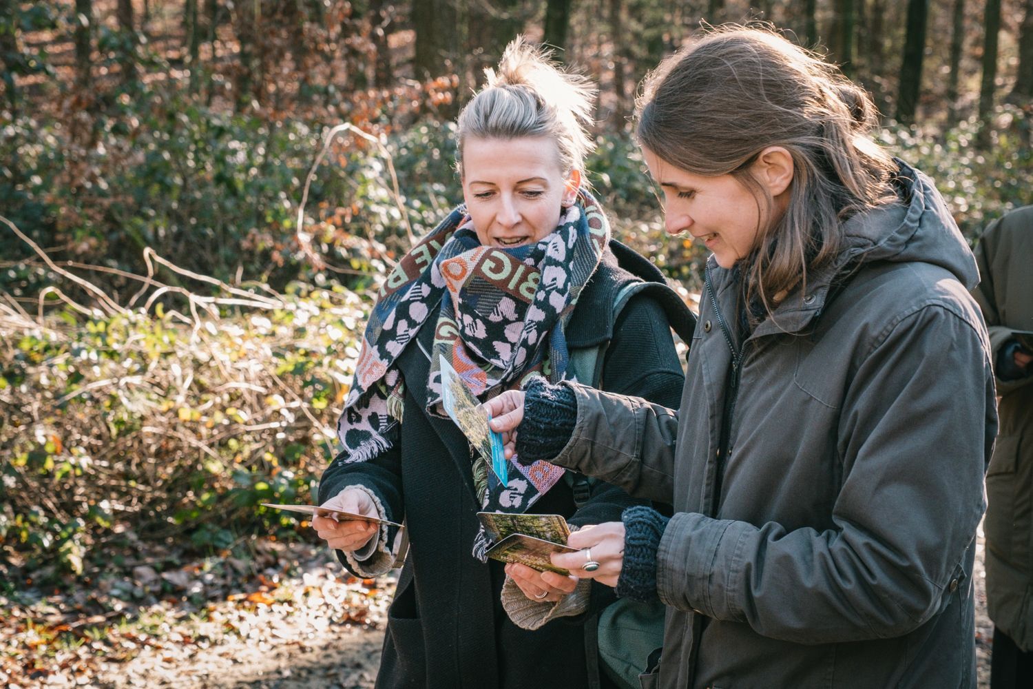 Präsenzterminen im Grünen und Online-Begleitung sichern Kontinuität und unterstützen Deinen persönlichen Veränderungsprozess.