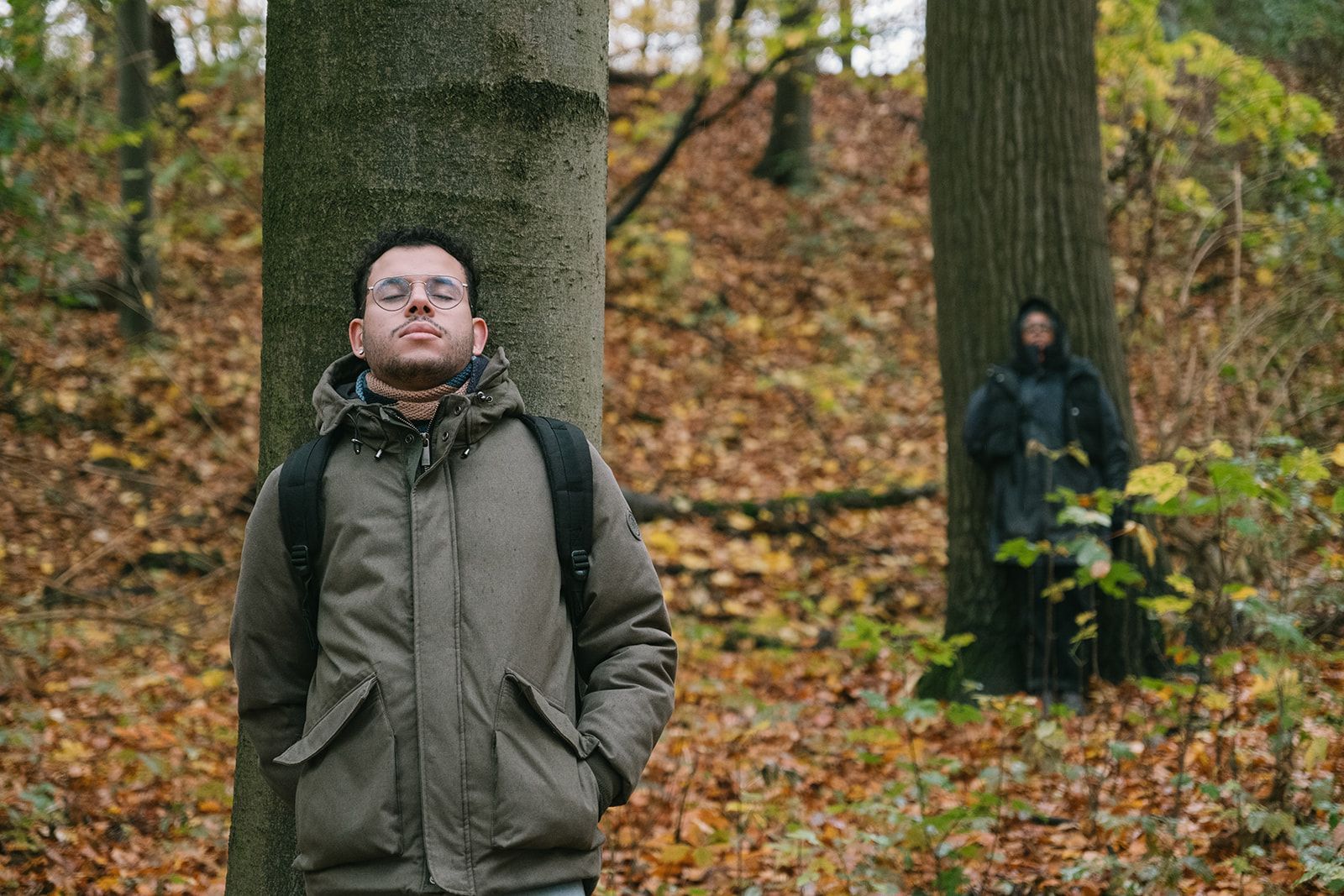 Fach- und Führungskräfte, Teams und Organisationen können mit Waldfulness in Köln Waldbaden erleben.