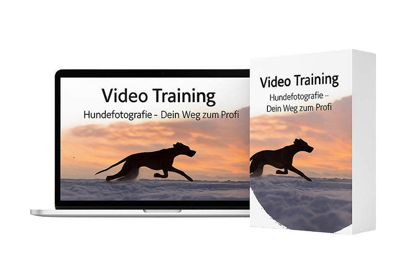 Videotraining Cover