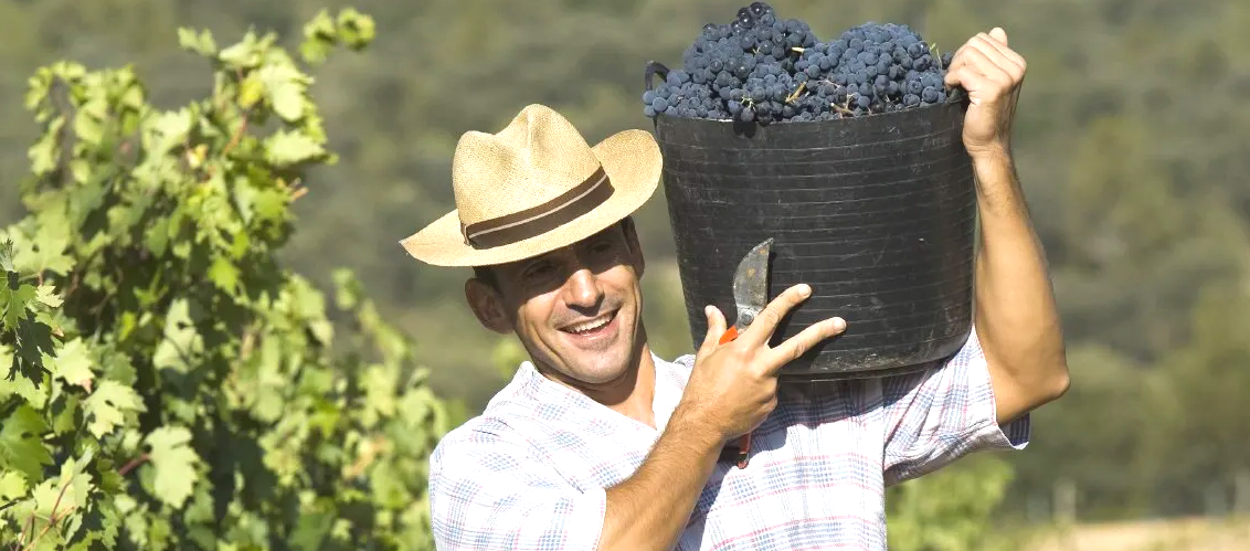 Weingut Nachfolger finden