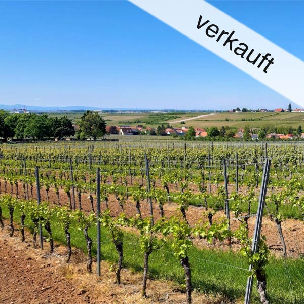 Weingut verkauft - Pfalz