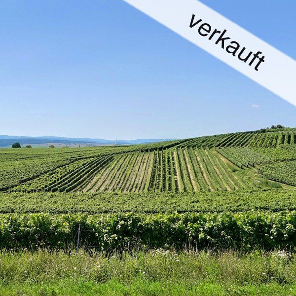 Region Ingelheim - 20 Hektar Rebfläche zu verkaufen - ohne Anwesen