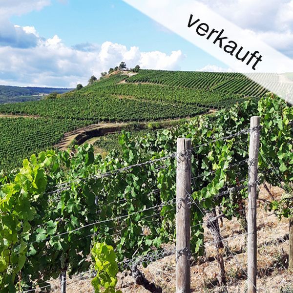 Weingut-Idyll im Rheingau mit ca. 12 ha Reben verkauft