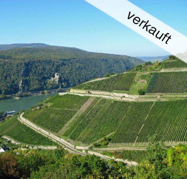 Weingut im Rheintal - Freude am Luxus