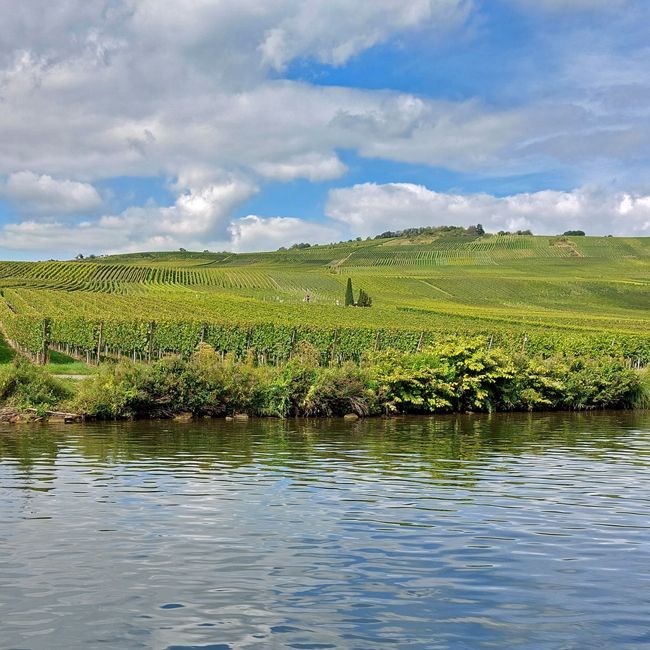 Mosel Weingut kaufen mit kleinerem Budget