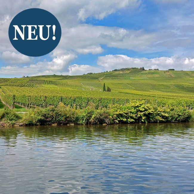 Mosel Weingut kaufen mit kleinerem Budget