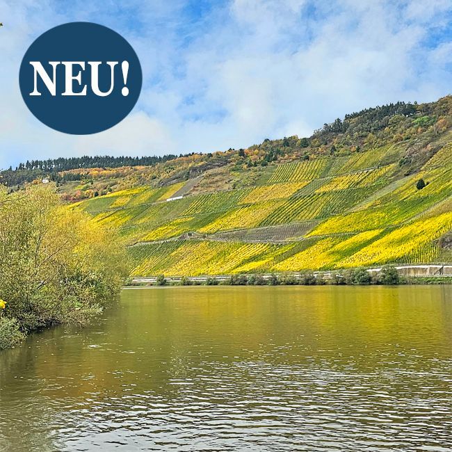 Traditionsreiches Erlebnis-Weingut mit 6 ha vorwiegend Riesling zu verkaufen - Historisches Anwesen mit Eventräumen für Gastgeber, die Wein und Emotionen verkaufen wollen