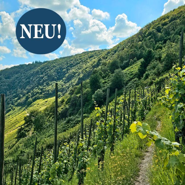 Mosel Weingut kaufen: Renommiertes Ausnahme-Weingut mit weltbekannten Einzellagen