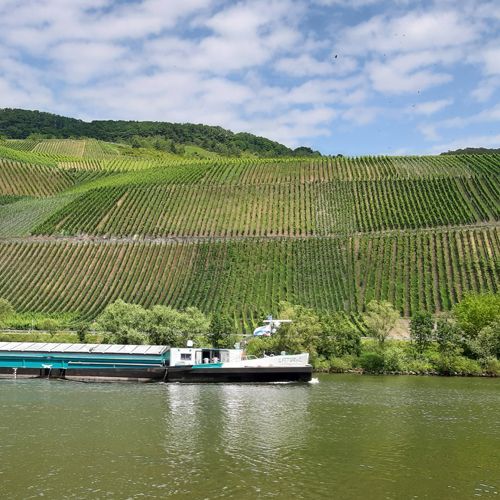 Mosel Weingut kaufen - Schiff