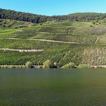 Weingut zu verkaufen - Mosel - beste Lagen