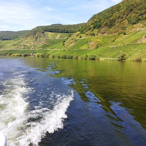 Weingut kaufen Mosel - Schiffahrt auf der Mosel