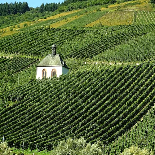 Weingut kaufen Mosel - Steillagen mit Kapelle