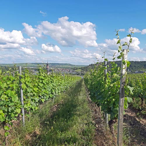 Weingut Rheingau verkauft